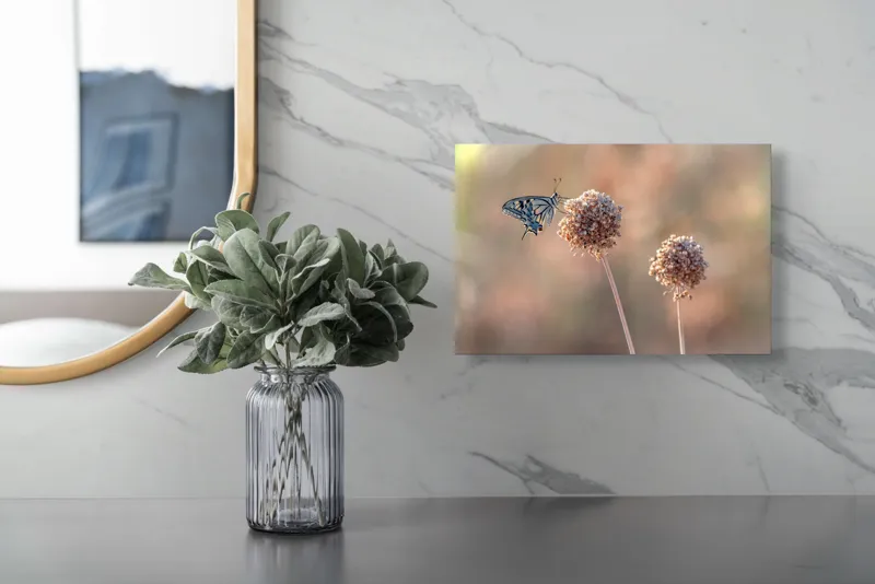 Tablou Canvas, "Fluture pe floare uscată în lumină", Fluture, Floare, Fragilitate, Natură, Delicatețe, Eteric, Lumină, Echilibru, 39 x 26 cm – poza 5