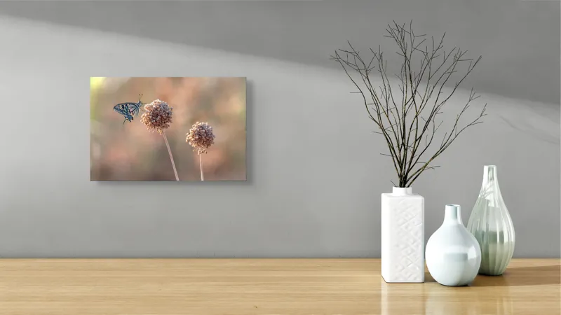 Tablou Canvas, "Fluture pe floare uscată în lumină", Fluture, Floare, Fragilitate, Natură, Delicatețe, Eteric, Lumină, Echilibru, 39 x 26 cm – poza 8