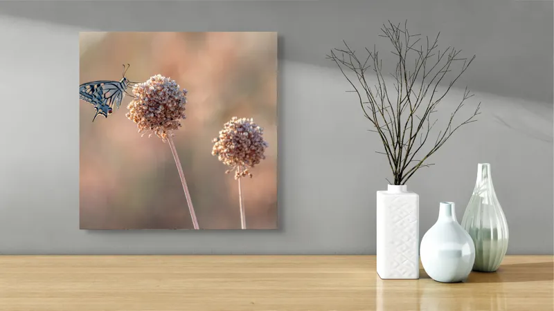 Tablou Canvas, "Fluture pe floare uscată în lumină", Fluture, Floare, Fragilitate, Natură, Delicatețe, Eteric, Lumină, Echilibru, 50 x 50 cm – poza 3