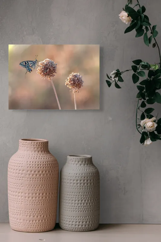 Tablou Canvas, "Fluture pe floare uscată în lumină", Fluture, Floare, Fragilitate, Natură, Delicatețe, Eteric, Lumină, Echilibru, 54 x 39 cm – poza 8
