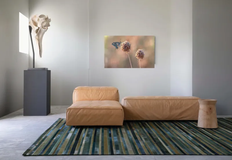 Tablou Canvas, "Fluture pe floare uscată în lumină", Fluture, Floare, Fragilitate, Natură, Delicatețe, Eteric, Lumină, Echilibru, 90 x 50 cm – poza 8