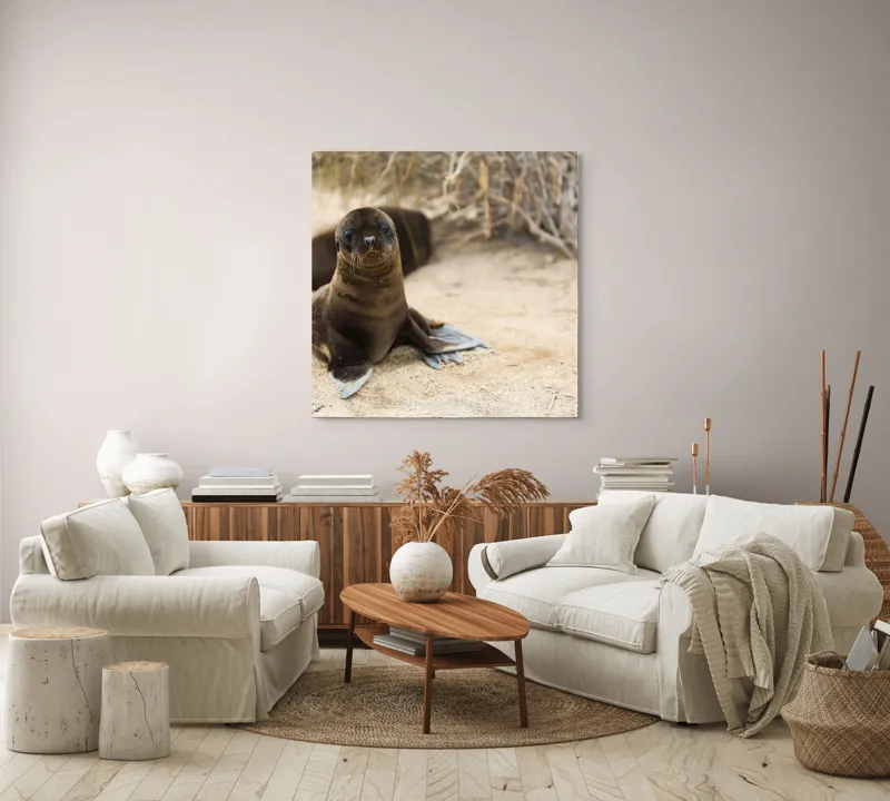Tablou Canvas, "Leul de mare pe plajă liniștit", Focă, Plajă, Nisip, Vegetație, Blană, Ochi Curioși, Înotătoare, Natură, Relaxare, Habitat., 100 x 100 cm – poza 3