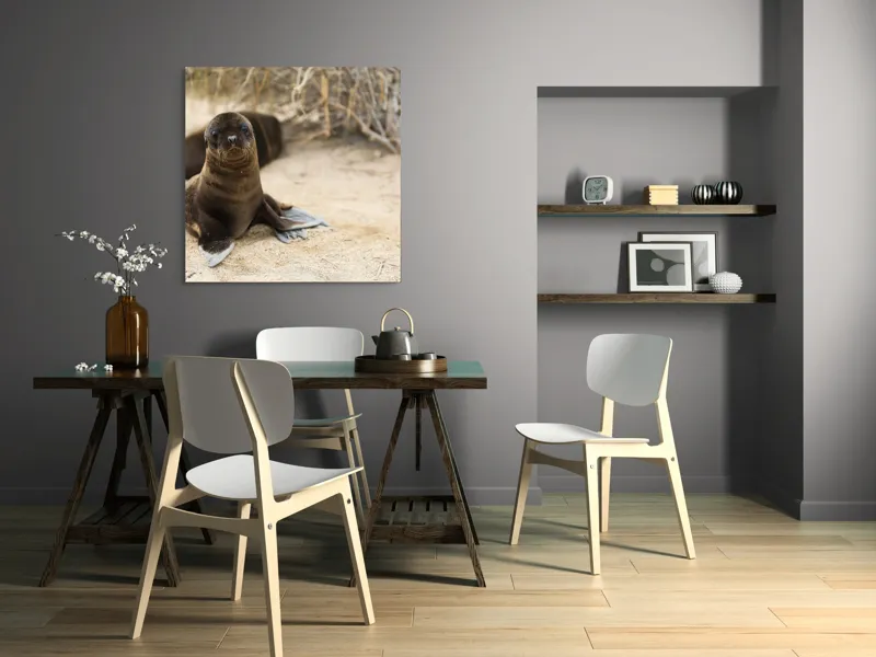 Tablou Canvas, "Leul de mare pe plajă liniștit", Focă, Plajă, Nisip, Vegetație, Blană, Ochi Curioși, Înotătoare, Natură, Relaxare, Habitat., 100 x 100 cm – poza 6