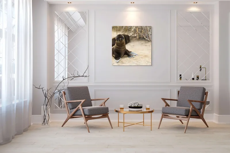 Tablou Canvas, "Leul de mare pe plajă liniștit", Focă, Plajă, Nisip, Vegetație, Blană, Ochi Curioși, Înotătoare, Natură, Relaxare, Habitat., 100 x 100 cm – poza 7