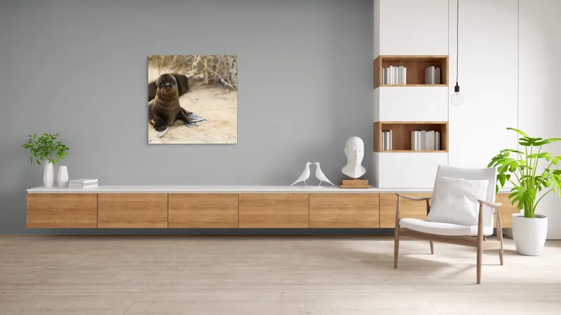 Tablou Canvas, "Leul de mare pe plajă liniștit", Focă, Plajă, Nisip, Vegetație, Blană, Ochi Curioși, Înotătoare, Natură, Relaxare, Habitat., 100 x 100 cm – poza 8