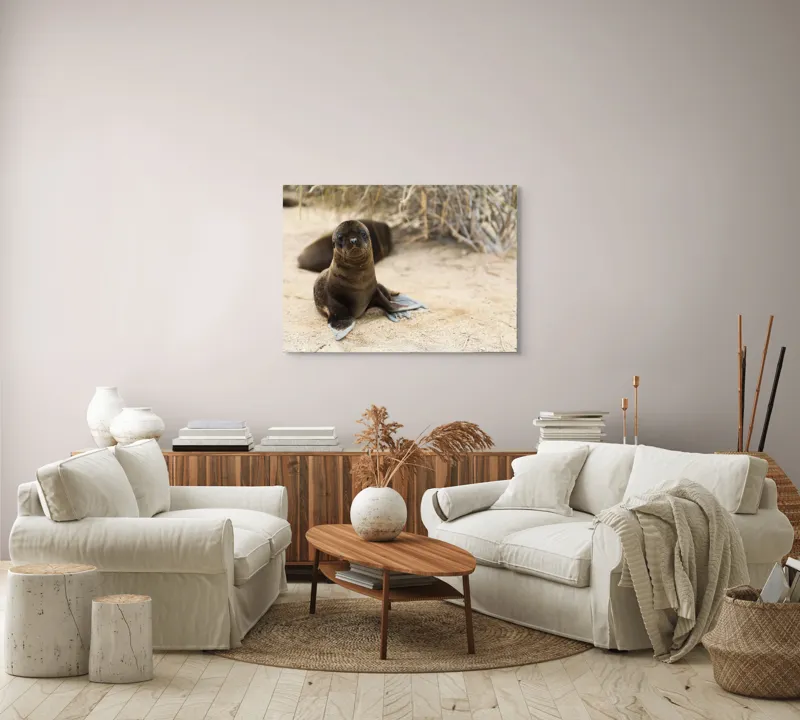 Tablou Canvas, "Leul de mare pe plajă liniștit", Focă, Plajă, Nisip, Vegetație, Blană, Ochi Curioși, Înotătoare, Natură, Relaxare, Habitat., 100 x 70 cm – poza 3