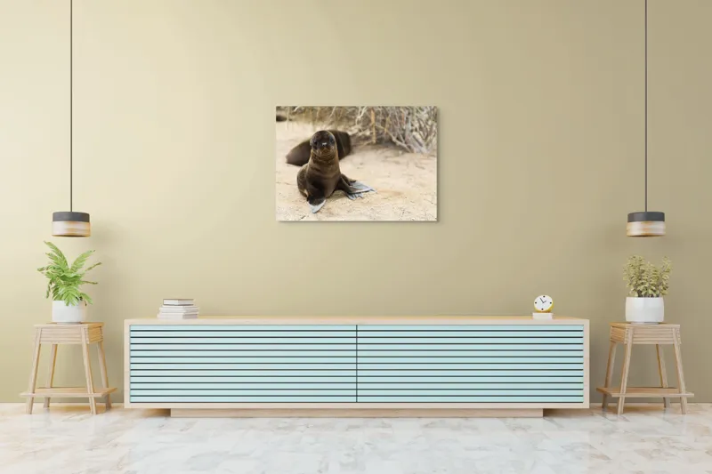 Tablou Canvas, "Leul de mare pe plajă liniștit", Focă, Plajă, Nisip, Vegetație, Blană, Ochi Curioși, Înotătoare, Natură, Relaxare, Habitat., 100 x 70 cm – poza 4