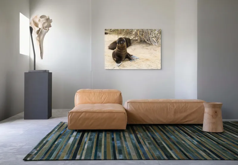 Tablou Canvas, "Leul de mare pe plajă liniștit", Focă, Plajă, Nisip, Vegetație, Blană, Ochi Curioși, Înotătoare, Natură, Relaxare, Habitat., 100 x 70 cm – poza 7