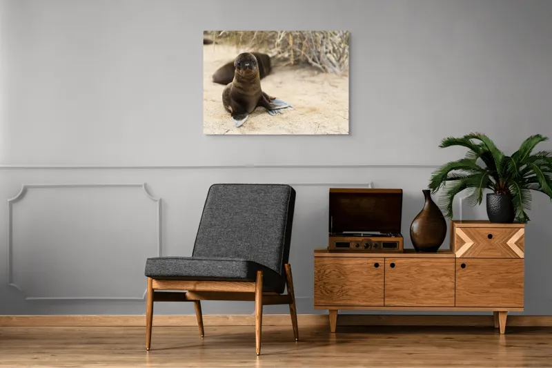 Tablou Canvas, "Leul de mare pe plajă liniștit", Focă, Plajă, Nisip, Vegetație, Blană, Ochi Curioși, Înotătoare, Natură, Relaxare, Habitat., 100 x 70 cm – poza 8