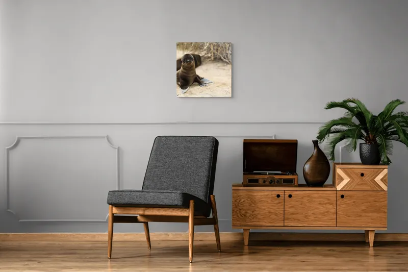 Tablou Canvas, "Leul de mare pe plajă liniștit", Focă, Plajă, Nisip, Vegetație, Blană, Ochi Curioși, Înotătoare, Natură, Relaxare, Habitat., 50 x 50 cm – poza 6