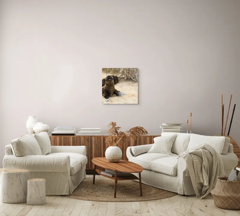 Tablou Canvas, "Leul de mare pe plajă liniștit", Focă, Plajă, Nisip, Vegetație, Blană, Ochi Curioși, Înotătoare, Natură, Relaxare, Habitat., 50 x 50 cm – poza 7