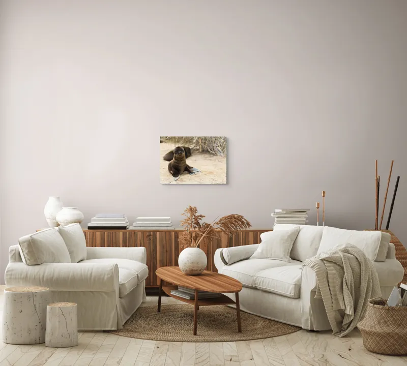 Tablou Canvas, "Leul de mare pe plajă liniștit", Focă, Plajă, Nisip, Vegetație, Blană, Ochi Curioși, Înotătoare, Natură, Relaxare, Habitat., 54 x 39 cm – poza 5