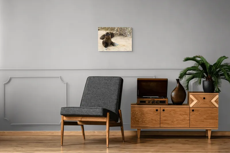Tablou Canvas, "Leul de mare pe plajă liniștit", Focă, Plajă, Nisip, Vegetație, Blană, Ochi Curioși, Înotătoare, Natură, Relaxare, Habitat., 54 x 39 cm – poza 7