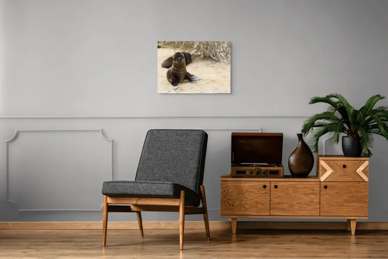 Tablou Canvas, "Leul de mare pe plajă liniștit", Focă, Plajă, Nisip, Vegetație, Blană, Ochi Curioși, Înotătoare, Natură, Relaxare, Habitat., 70 x 50 cm – poza 4