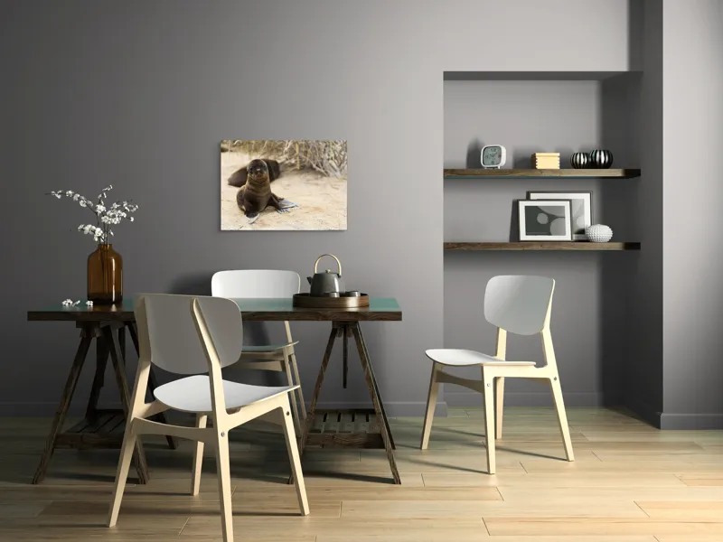 Tablou Canvas, "Leul de mare pe plajă liniștit", Focă, Plajă, Nisip, Vegetație, Blană, Ochi Curioși, Înotătoare, Natură, Relaxare, Habitat., 70 x 50 cm – poza 5