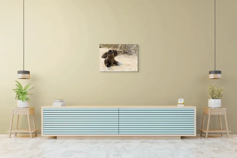 Tablou Canvas, "Leul de mare pe plajă liniștit", Focă, Plajă, Nisip, Vegetație, Blană, Ochi Curioși, Înotătoare, Natură, Relaxare, Habitat., 70 x 50 cm – poza 7