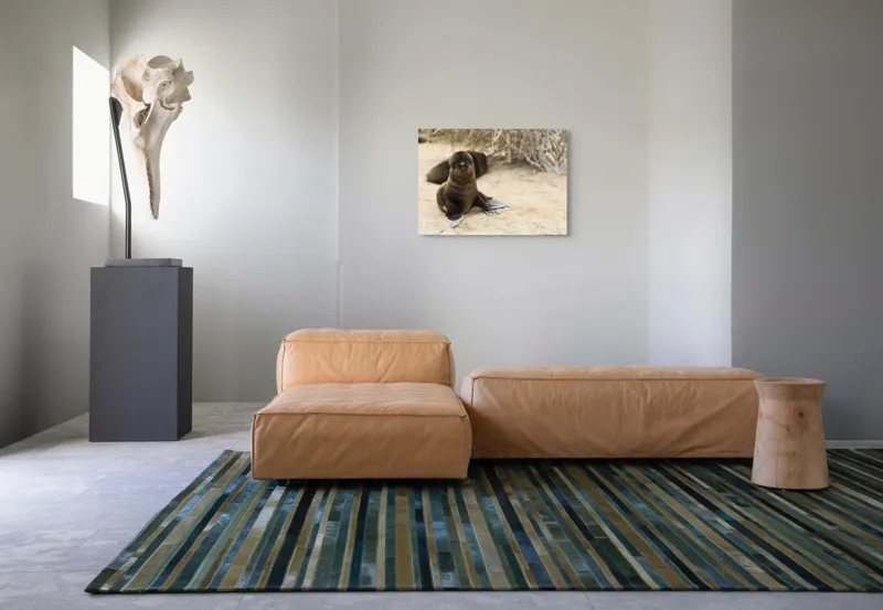Tablou Canvas, "Leul de mare pe plajă liniștit", Focă, Plajă, Nisip, Vegetație, Blană, Ochi Curioși, Înotătoare, Natură, Relaxare, Habitat., 70 x 50 cm – poza 8