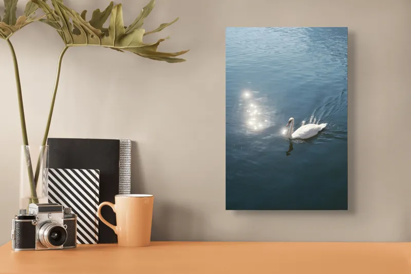 Tablou Canvas, "Lacul liniștit al lebedei strălucitoare", Lebădă, Apă, Reflexii, Serenitate, Lumină, Natură, Eleganță, Calm, 26 x 39 cm – poza 3