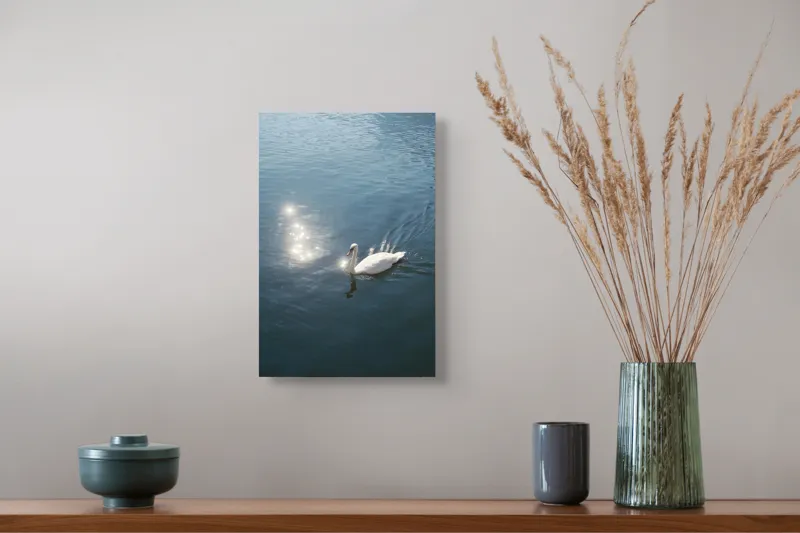 Tablou Canvas, "Lacul liniștit al lebedei strălucitoare", Lebădă, Apă, Reflexii, Serenitate, Lumină, Natură, Eleganță, Calm, 26 x 39 cm – poza 5