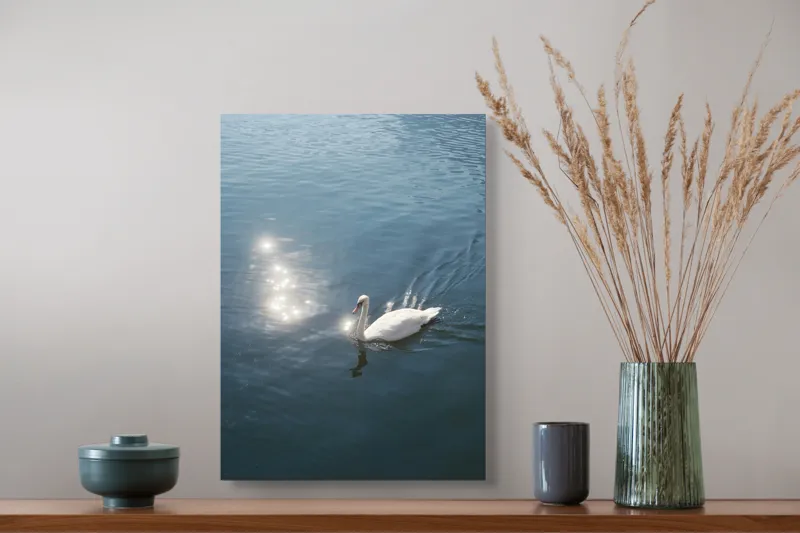 Tablou Canvas, "Lacul liniștit al lebedei strălucitoare", Lebădă, Apă, Reflexii, Serenitate, Lumină, Natură, Eleganță, Calm, 39 x 54 cm – poza 3
