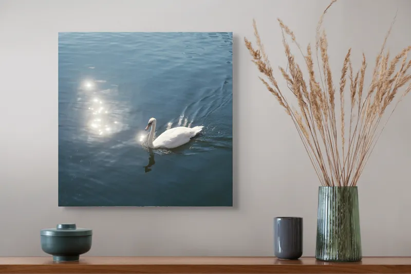 Tablou Canvas, "Lacul liniștit al lebedei strălucitoare", Lebădă, Apă, Reflexii, Serenitate, Lumină, Natură, Eleganță, Calm, 50 x 50 cm – poza 4
