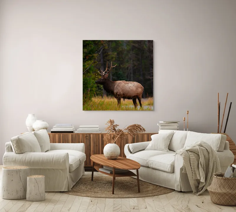 Tablou Canvas, "Cerbul singuratic în pădurea tăcută", 100 x 100 cm – poza 3