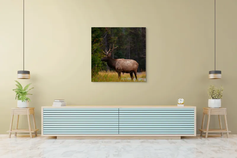 Tablou Canvas, "Cerbul singuratic în pădurea tăcută", 100 x 100 cm – poza 5