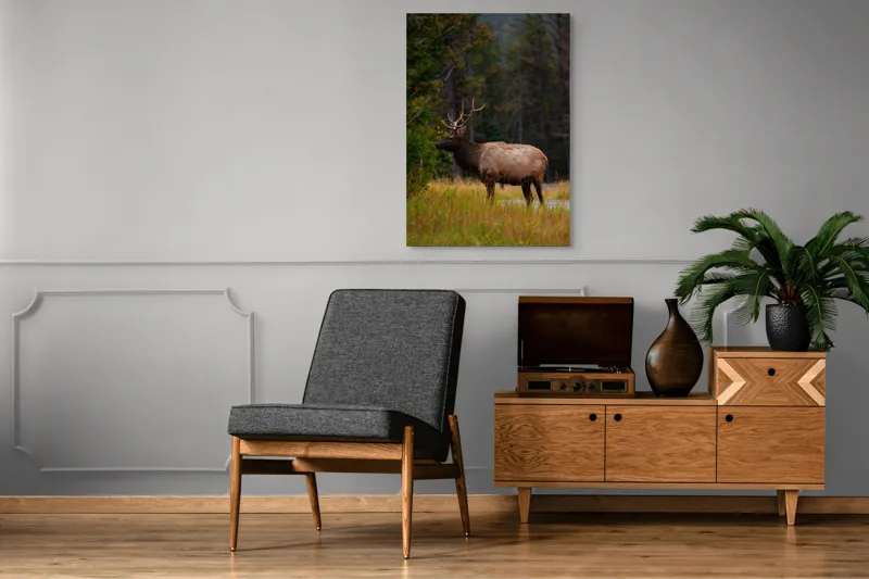 Tablou Canvas, "Cerbul singuratic în pădurea tăcută", 70 x 100 cm – poza 6