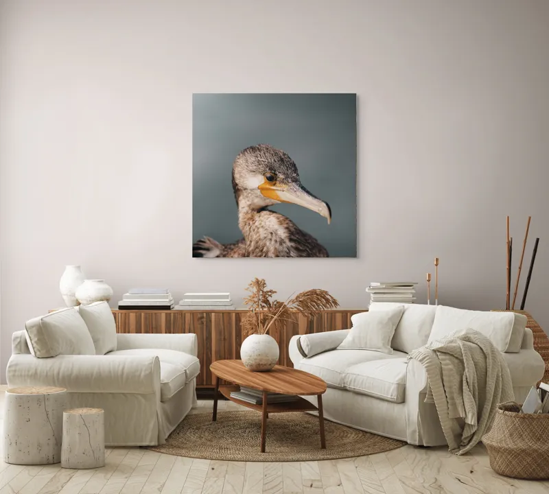 Tablou Canvas, "Cormoranul privind orizontul de apă", Pene, Cioc, Ochi, Apă, Claritate, Natură, Profil, Observație, 100 x 100 cm – poza 3