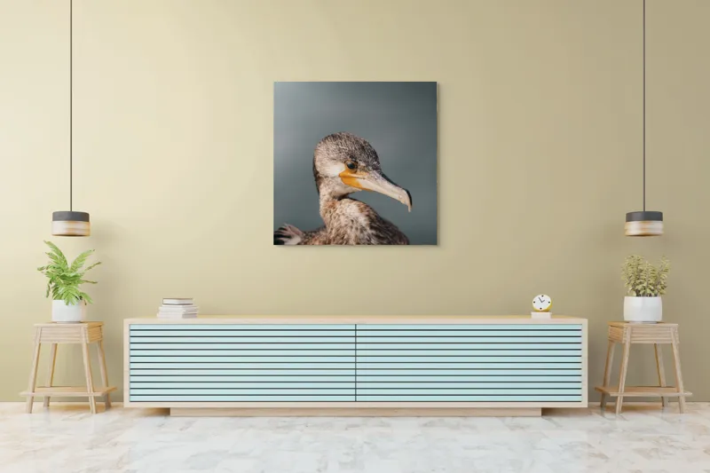 Tablou Canvas, "Cormoranul privind orizontul de apă", Pene, Cioc, Ochi, Apă, Claritate, Natură, Profil, Observație, 100 x 100 cm – poza 5