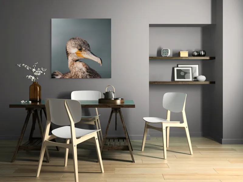Tablou Canvas, "Cormoranul privind orizontul de apă", Pene, Cioc, Ochi, Apă, Claritate, Natură, Profil, Observație, 100 x 100 cm – poza 6