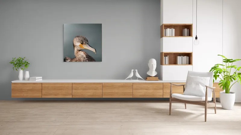 Tablou Canvas, "Cormoranul privind orizontul de apă", Pene, Cioc, Ochi, Apă, Claritate, Natură, Profil, Observație, 100 x 100 cm – poza 8