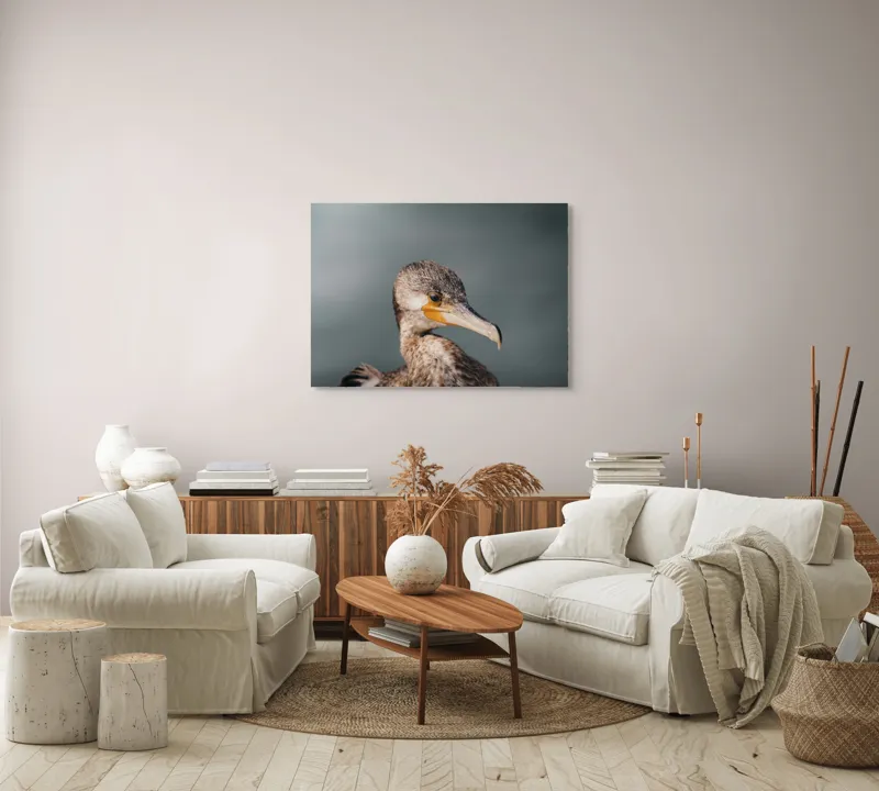 Tablou Canvas, "Cormoranul privind orizontul de apă", Pene, Cioc, Ochi, Apă, Claritate, Natură, Profil, Observație, 100 x 70 cm – poza 3