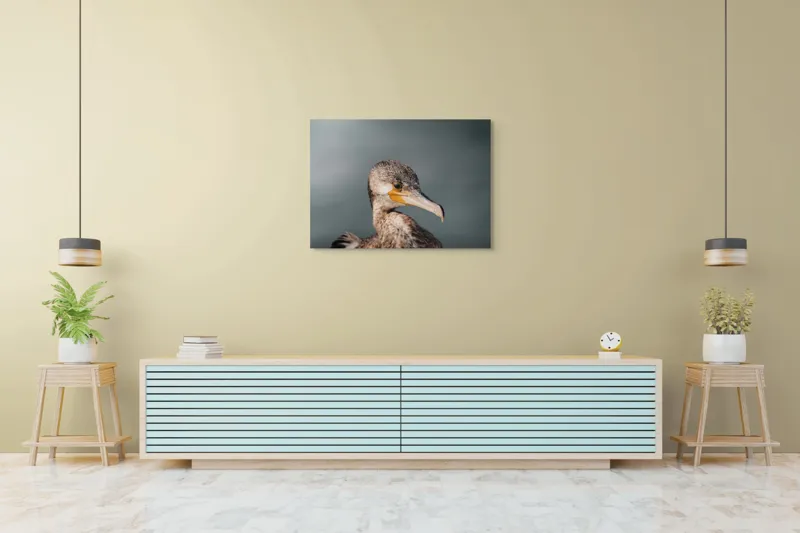 Tablou Canvas, "Cormoranul privind orizontul de apă", Pene, Cioc, Ochi, Apă, Claritate, Natură, Profil, Observație, 100 x 70 cm – poza 4