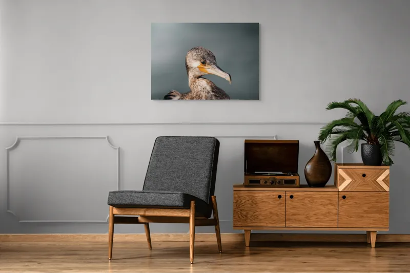 Tablou Canvas, "Cormoranul privind orizontul de apă", Pene, Cioc, Ochi, Apă, Claritate, Natură, Profil, Observație, 100 x 70 cm – poza 8