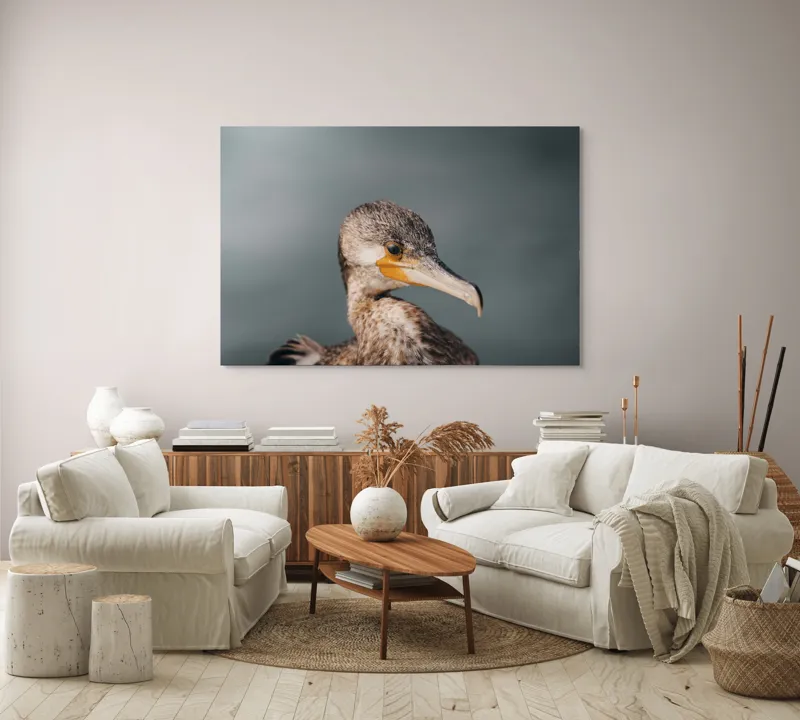Tablou Canvas, "Cormoranul privind orizontul de apă", Pene, Cioc, Ochi, Apă, Claritate, Natură, Profil, Observație, 150 x 100 cm – poza 3