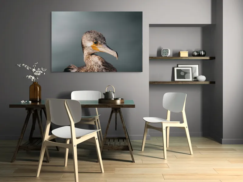 Tablou Canvas, "Cormoranul privind orizontul de apă", Pene, Cioc, Ochi, Apă, Claritate, Natură, Profil, Observație, 150 x 100 cm – poza 5