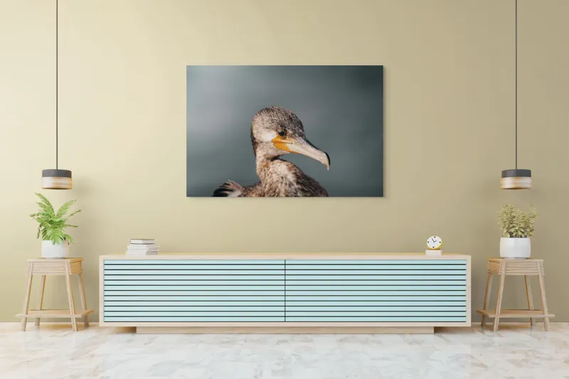 Tablou Canvas, "Cormoranul privind orizontul de apă", Pene, Cioc, Ochi, Apă, Claritate, Natură, Profil, Observație, 150 x 100 cm – poza 6