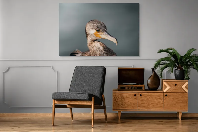 Tablou Canvas, "Cormoranul privind orizontul de apă", Pene, Cioc, Ochi, Apă, Claritate, Natură, Profil, Observație, 150 x 100 cm – poza 8