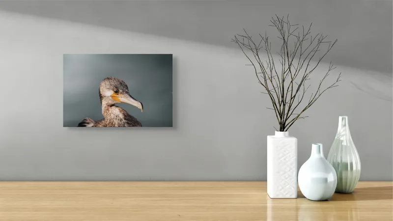 Tablou Canvas, "Cormoranul privind orizontul de apă", Pene, Cioc, Ochi, Apă, Claritate, Natură, Profil, Observație, 39 x 26 cm – poza 8