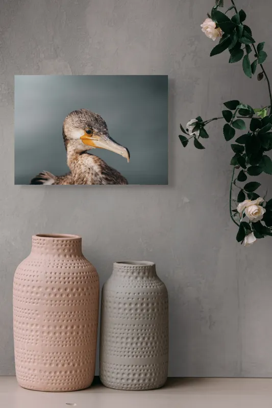 Tablou Canvas, "Cormoranul privind orizontul de apă", Pene, Cioc, Ochi, Apă, Claritate, Natură, Profil, Observație, 54 x 39 cm – poza 8
