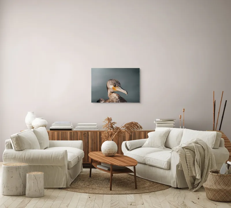 Tablou Canvas, "Cormoranul privind orizontul de apă", Pene, Cioc, Ochi, Apă, Claritate, Natură, Profil, Observație, 70 x 50 cm – poza 6