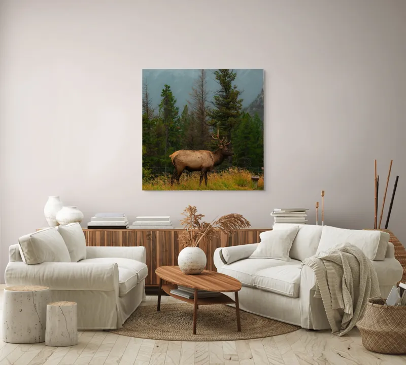 Tablou Canvas, "Cerbul solitar în ploaia de toamnă", Munte, Cerb, Copaci, Iarbă, Ceață, Natură, Serenitate, Pădure, Peisaj, Plimbare, 100 x 100 cm – poza 3