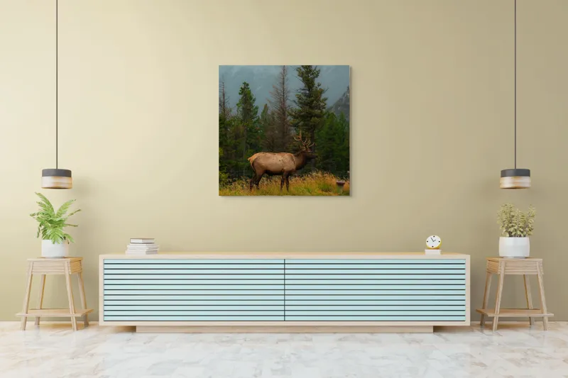 Tablou Canvas, "Cerbul solitar în ploaia de toamnă", Munte, Cerb, Copaci, Iarbă, Ceață, Natură, Serenitate, Pădure, Peisaj, Plimbare, 100 x 100 cm – poza 5