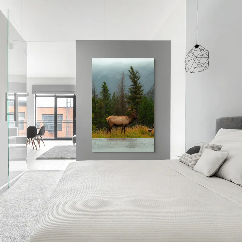 Tablou Canvas, "Cerbul solitar în ploaia de toamnă", Munte, Cerb, Copaci, Iarbă, Ceață, Natură, Serenitate, Pădure, Peisaj, Plimbare, 100 x 150 cm – poza 5