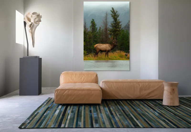 Tablou Canvas, "Cerbul solitar în ploaia de toamnă", Munte, Cerb, Copaci, Iarbă, Ceață, Natură, Serenitate, Pădure, Peisaj, Plimbare, 100 x 150 cm – poza 7