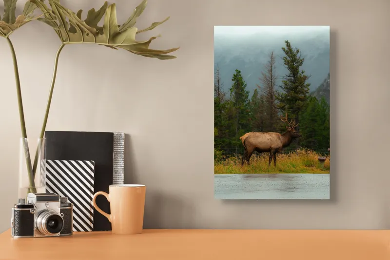Tablou Canvas, "Cerbul solitar în ploaia de toamnă", Munte, Cerb, Copaci, Iarbă, Ceață, Natură, Serenitate, Pădure, Peisaj, Plimbare, 26 x 39 cm – poza 3