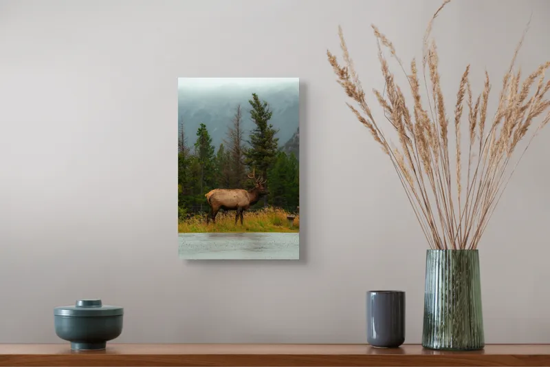 Tablou Canvas, "Cerbul solitar în ploaia de toamnă", Munte, Cerb, Copaci, Iarbă, Ceață, Natură, Serenitate, Pădure, Peisaj, Plimbare, 26 x 39 cm – poza 5