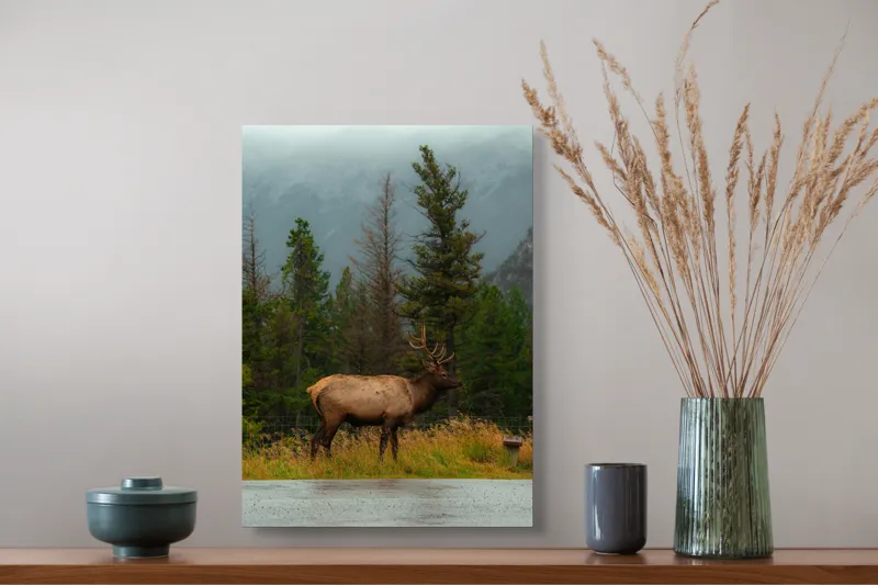 Tablou Canvas, "Cerbul solitar în ploaia de toamnă", Munte, Cerb, Copaci, Iarbă, Ceață, Natură, Serenitate, Pădure, Peisaj, Plimbare, 39 x 54 cm – poza 3