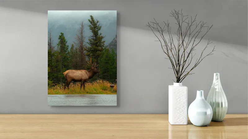 Tablou Canvas, "Cerbul solitar în ploaia de toamnă", Munte, Cerb, Copaci, Iarbă, Ceață, Natură, Serenitate, Pădure, Peisaj, Plimbare, 39 x 54 cm – poza 4